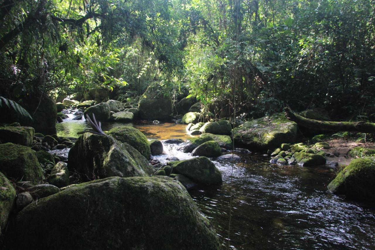 Sitio Das Bromelias Cachoeira Do Tombador Ubatuba Exterior photo